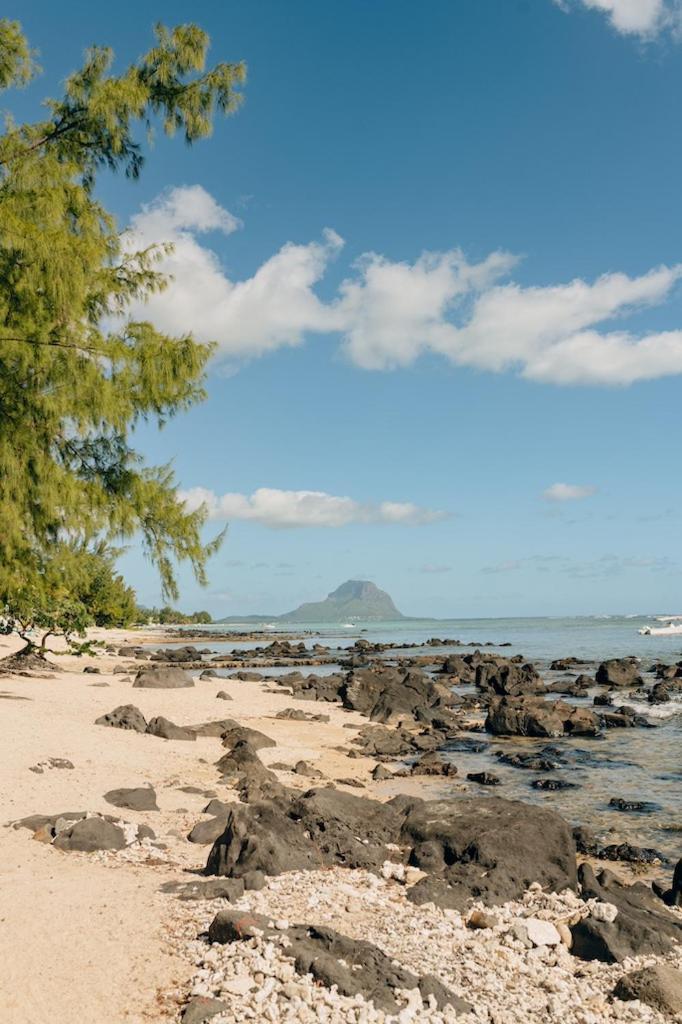 Beach And Mountain - Tamarin Kültér fotó